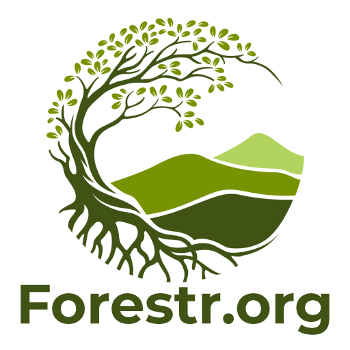 Forestr.org